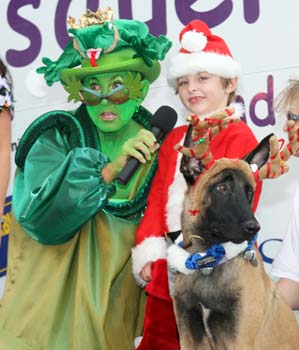 Pet Masquerade and Parade 2007 photo - Duval Street, Key West